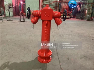 Bouche d'INCENDIE BS750 Type Deux